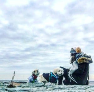 FS.ShortInterview.Anna.5.March21.2018