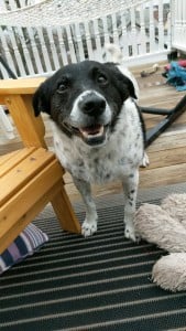 FS.ShortInterview.Jess.May16.2018.5