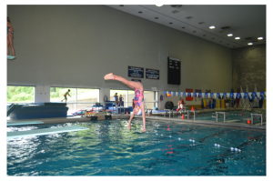 Feedly.FS.Diving.1.Aug.13.2018.Canva