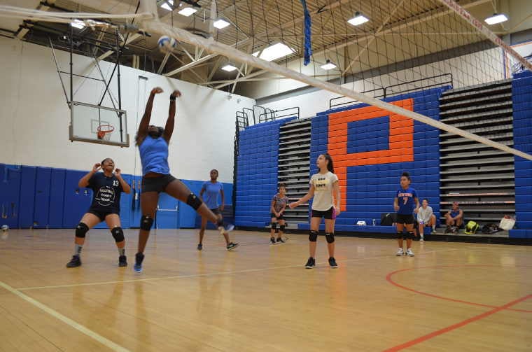 Feedly_FS__Volleyball_Vertical_April9__2018_760-1
