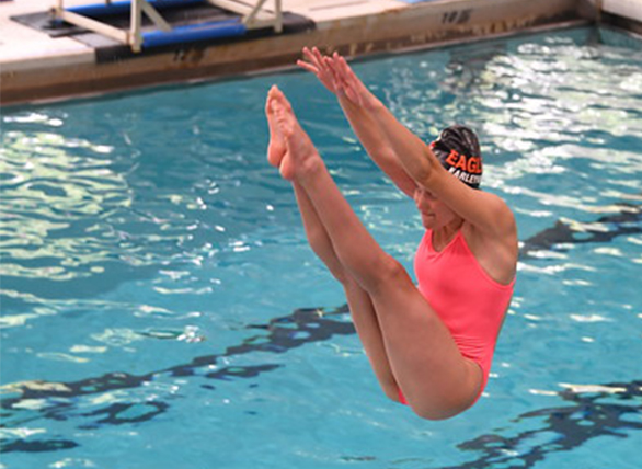 Divingsmall586x428 (1)