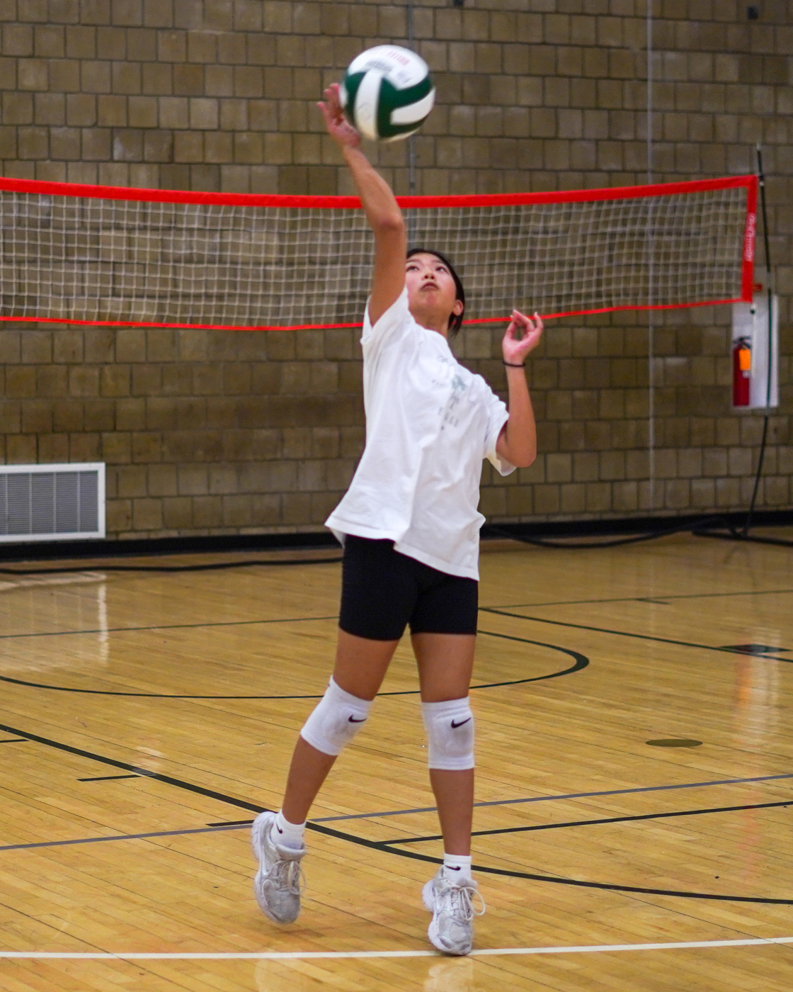 OW_Volleyball_spike_2