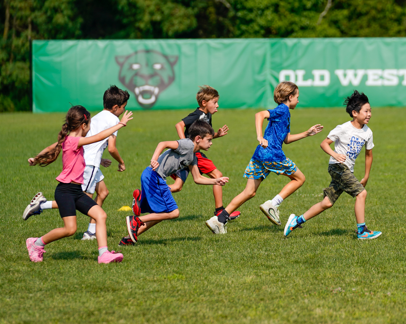 OW_multi_field_running